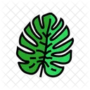 Planta monstera  Icono