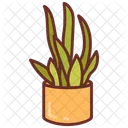 Planta De Serpiente Planta Verdor Icono