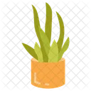 Planta De Serpiente Planta Verdor Icono