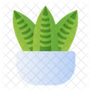 Planta Serpiente Icono