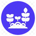 Plantar Plantar Jardineria Icon