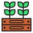 Plantage Fruhling Saison Symbol