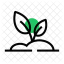 Plantar  Icon