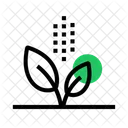 Plantar  Icon