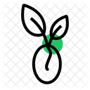 Plantar  Icon