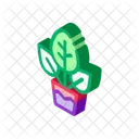 Plantar  Ícone