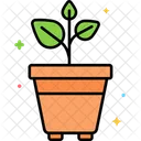 Plantas  Icon