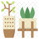 Plantas  Icon