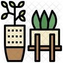 Plantas  Icono