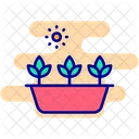 Plantas Icon