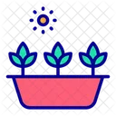 Plantas Icon