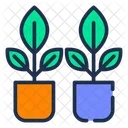 Plantas  Icono