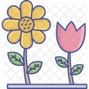 Daisy Plantas Con Flores Plantas Icono