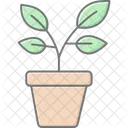 Plantas De Hierbas En Macetas En Maceta Hierba Icono