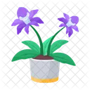 Planta y flores  Icono