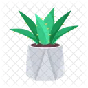 Planta y flores  Icon