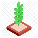 Farming Future Garden Icon