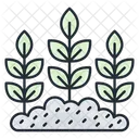 Plantation Icon