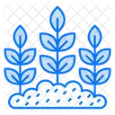 Plantation Icon