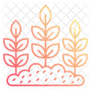 Plantation Icon