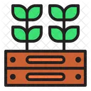 Plantation  Icon