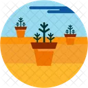 Plantation Pot Verdure Icon