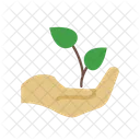 Plantation Icon