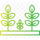 Plantation  Icon