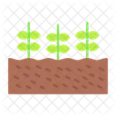 Plant Agriculture Nature Icon