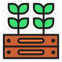Plantation  Icon
