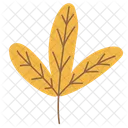 Plante Nature Feuille Icon