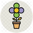 Plante Floraison Pot Icon