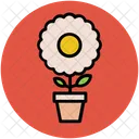 Plante Floraison Pot Icon