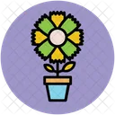 Plante Floraison Pot Icon