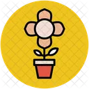 Plante Floraison Pot Icon