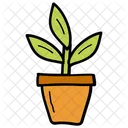 Plante Plante En Pot Plante Dinterieur Icon