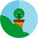 Plante Verdure Pot Icon