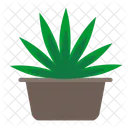 Plante de cannabis  Icône