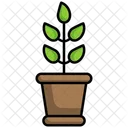 Plante Ecologique Ecologie Eco Icône