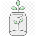 Plante Dans Un Bocal En Verre Plante Verre Ícone