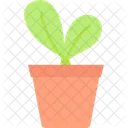 Plante Pot Environnement Icône