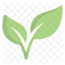 Plante Feuille Ecologie Icon