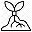  Icône
