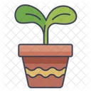 Planted Pots Plant Pot Icon