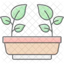 Planters Gardening Pots Icon