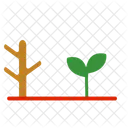 Nature Plante Jardin Icône