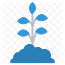 Plantes Icône