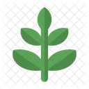Ecologie Vert Grandir Icône