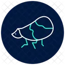 Planthoppper Planthopper Insect Icon