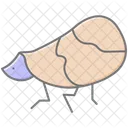 Planthoppper Planthopper Insect Icon